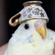 Biiird