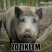 MasujDzika