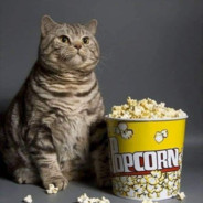 [PaeX] popcorncat