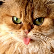 УМНЫЙ_КОТЯРА