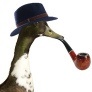 Inspecteur Magret