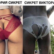 волк с losestreak