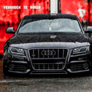 Audi S3 8p2.0tdi 180hp BKD KING
