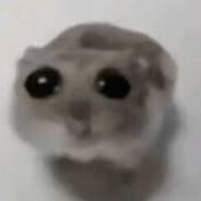 ツ