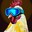 Group Avatar