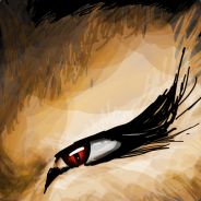DesertScreamer