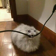CatCutter