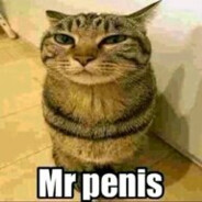 Mr Penis