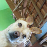 Kanoon ♡