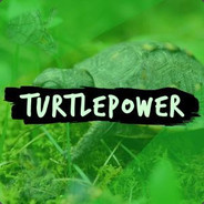 TurtlePower