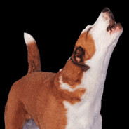 LonelyDog