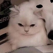 meow