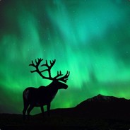 Northern Light