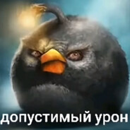 Жан клод мам драл