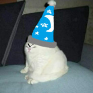 El Gato