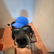 jajapilas