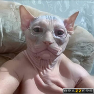 If I get muted, I will feed