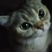 No_KiLi