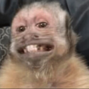 dronzamus