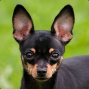 Аватар сообщества Steam