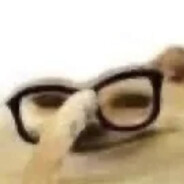 ds