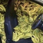 get in the ride