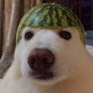 melikzadecavidan