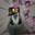 Group Avatar