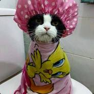 TiMiR