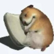 Kokito