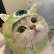 Awuwu