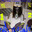 Group Avatar