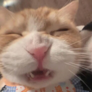 123
