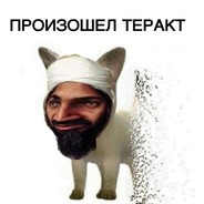 рейд шэдоу леджен