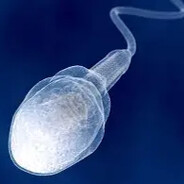 sperm sprayer