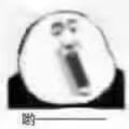 不虚言