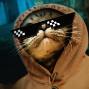SUPOL