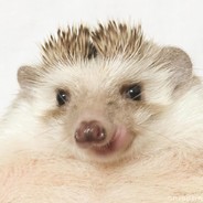 cheshka