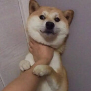 乌发可嗦