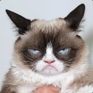 ZLTN
