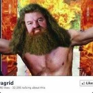 Swagrid