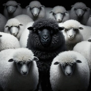 BlackSheep