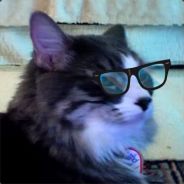 Steam profile picture for @neighborly