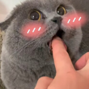 ♪