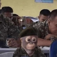 berto!