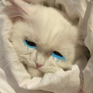 Зенди ʕ•ᴥ•ʔ