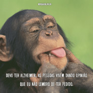 Feed :D