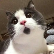 Ya