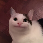 Retard Cat