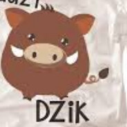 VW U.u DziK u.U VW